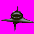 The default animation frame of Sharky.