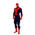 The default animation frame of Spider Man.