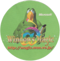 Peedy Windows Magic Sticker