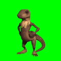 The default animation frame of Lizard.