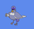The default animation frame of Pigeon.
