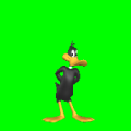 The default animation frame of Daffy.