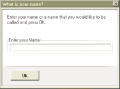 The name dialog box for KinitoPET.