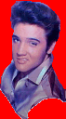 The default animation frame of Elvis.