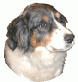 Gif of Sampson in CyberBuddy Custom Character site.